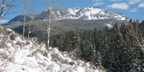 Flat Tops National Wilderness Area – near Meeker, CO