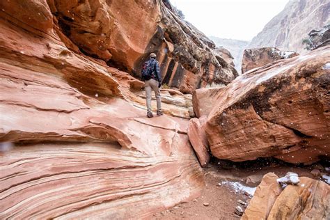 Little Wild Horse Canyon – Bell Canyon Loop: A Step-By-Step Guide | Earth Trekkers