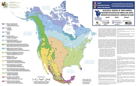 Ecoregions of North America | US EPA