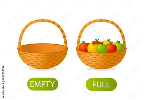 empty and full basket of apples. Teaching children opposites in mathematics. vector illustration ...