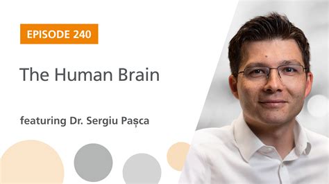 Ep. 240: "The Human Brain" Featuring Dr. Sergiu Pașca - The Stem Cell ...