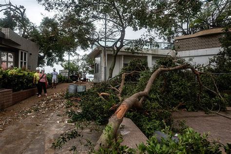 Hong Kong typhoon damage: Horror pictures as Hong Kong DESTROYED by ...