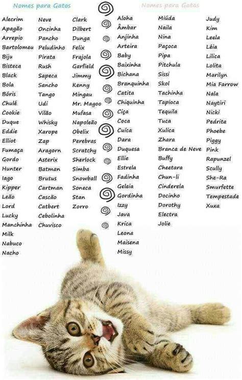 Idea 28+ Pet Cat Names