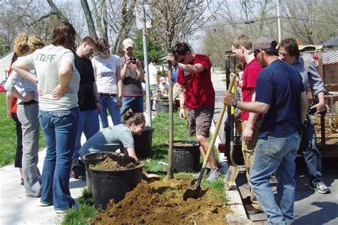 Urban Forest Ecosystems: Soils and Trees: Past Projects: Projects: Bloomington Urban Forestry ...