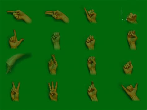 Master the American Sign Language Alphabet