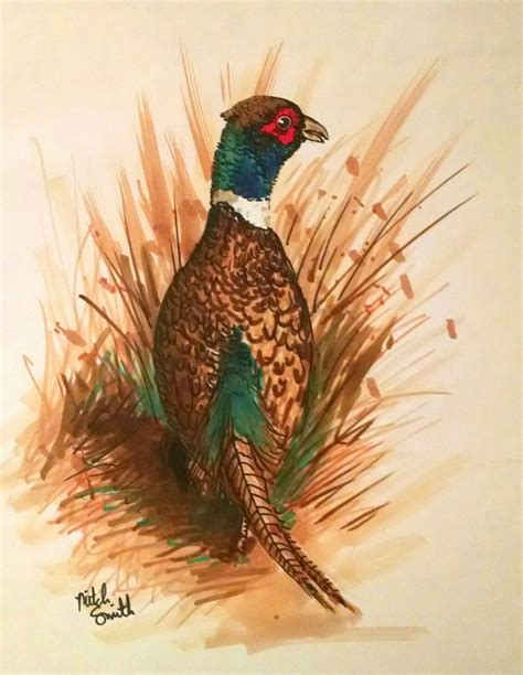 Ring-Necked Pheasant illustration in color marker. | Wildlife art, Beautiful art, Drawings