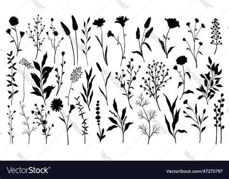 Set of branch and leaves collection floral hand Vector Image