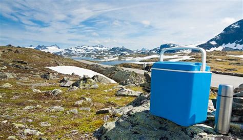 10 Best Coleman Coolers In 2022 🥇 | Tested and Reviewed by Campers ...