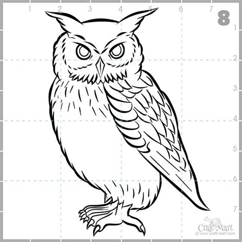 Easy Owl Pencil Drawings