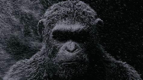 «Planet of the Apes» 1080P, 2k, 4k Full HD Wallpapers, Backgrounds Free Download | Wallpaper Crafter