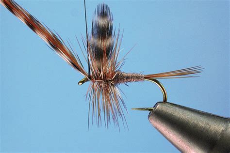 Neat Vertical Dry-Fly Hackle every time - Fly Fisherman