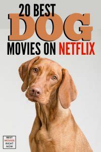 20 Best Dog Movies on Netflix for Dog Lovers - Best Movies Right Now