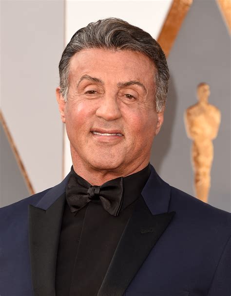 Sylvester Stallone is Developing a New TV Comedy! - Closer Weekly