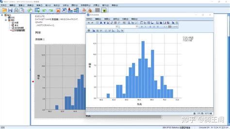 SPSS软件——计量资料的统计描述及直方图制作方法 - 知乎
