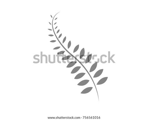 Silver Fern Plant Icon Stock Vector (Royalty Free) 756561016 | Shutterstock