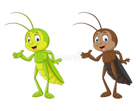 Cricket Animal Cartoon