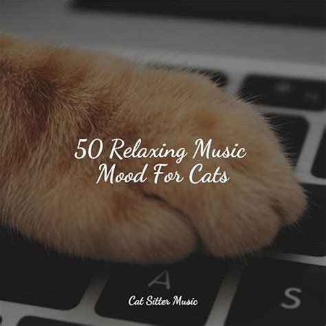 Play 50 Relaxing Music Mood For Cats by Music for Relaxing Cats, Calm Music for Cats & Cat Music ...