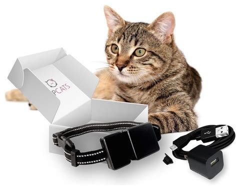 5 of the Best GPS Cat Tracking Collars | Cat tracker, Best gps tracker, Cats