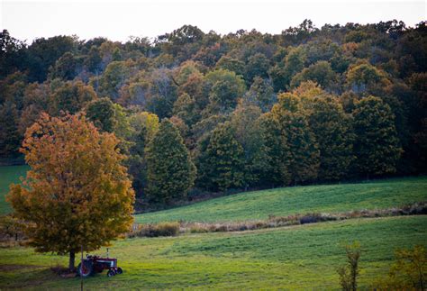 Landscape Plants: Landscape Plants In Ohio