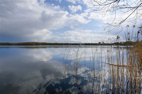 Spring lake. stock photo. Image of conservation, color - 78887258