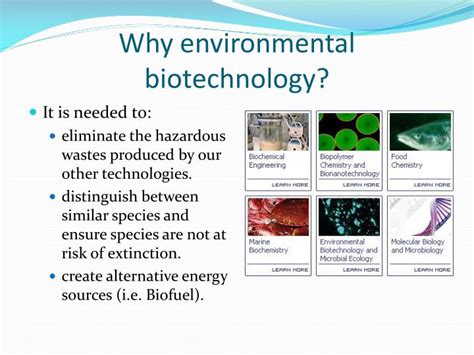 PPT - Environmental Biotechnology PowerPoint Presentation - ID:1605786