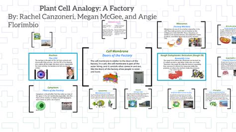 Cell Analogy: A Factory by Rachel Canzoneri on Prezi