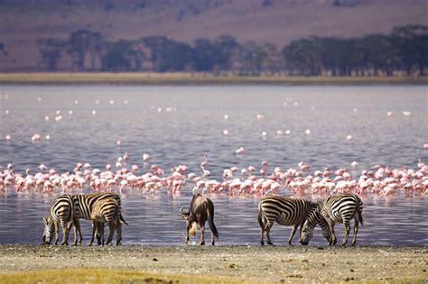 3 Days Lake Nakuru Wildlife Safari | Kenya Safari Tours