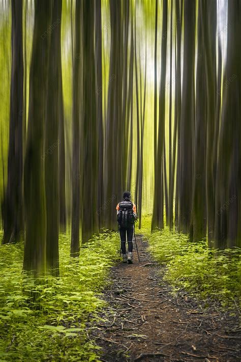 Outdoor Hiking In The Forest Background, Tourism, Mountain, On Foot ...