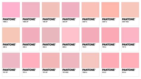 Картинки по запросу millennial pink | Pantone pink, Pink palette, Pink ...