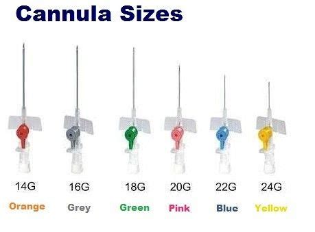 Sizes of IV Cannula and Uses - Cannula Gauge size in 2024 | Medical ...