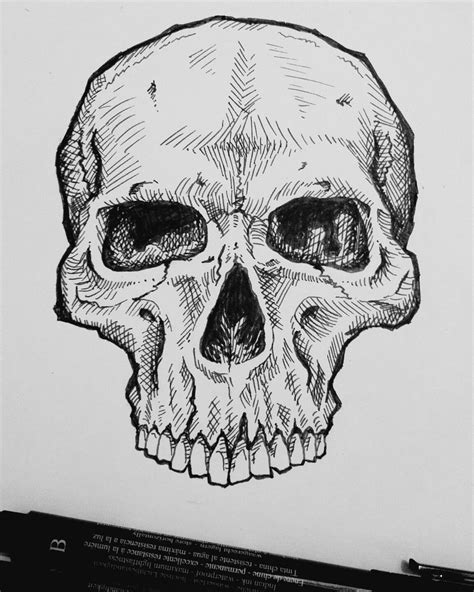 A skull, just to practice shading. #skull | Skull, Line drawing, Human skull