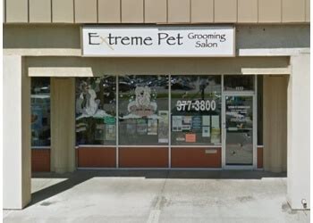 3 Best Pet Grooming in Boise City, ID - Expert Recommendations