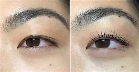 LASH LIFTS- A TREND CELEBS ARE TRYING — HighBrow Beauty-Eyelash ...