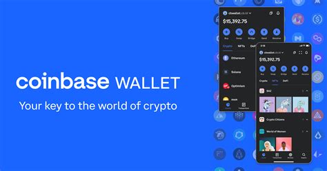 20 Best Crypto Wallets : Why You Need One Now | Cryptopolitan