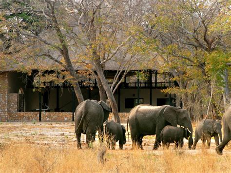 Hwange National Park Accommodation | Special Deals and Offers Book Now!