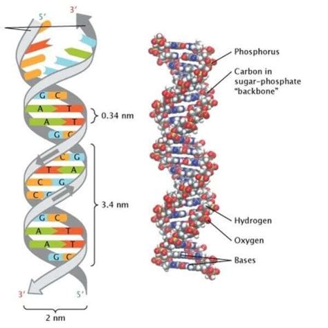 Virtual University BS Bioinformatics