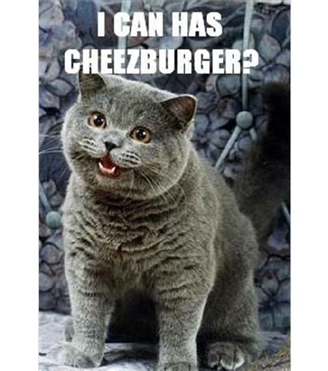 I can has cheezburger? | Download Scientific Diagram