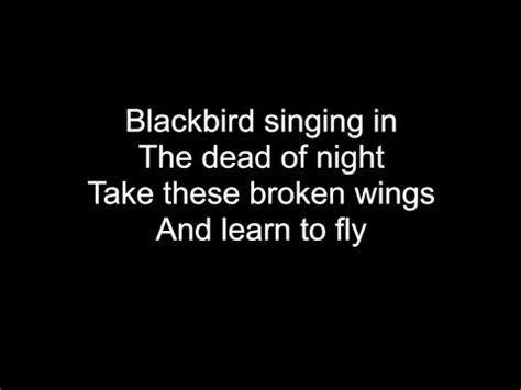 BLACKBIRD | HD With Lyrics | THE BEATLES cover by Chris Landmark - YouTube