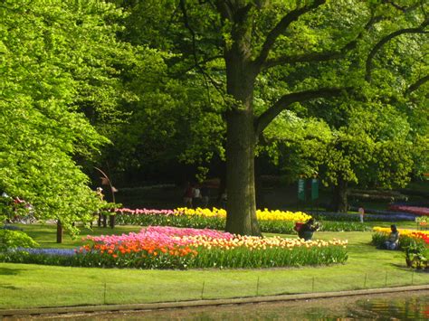 Keukenhof Dutch Tulip Festival | Spring Garden | Conscious Travel Guide