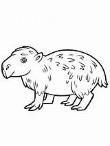Happy Capybara coloring page  Download Print Or Color Online For Free sketch template