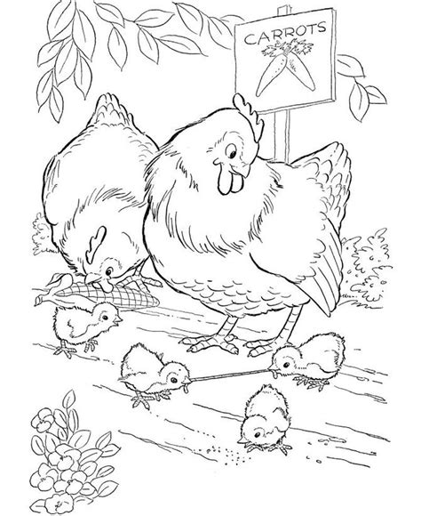 Cute Chicken Coloring Pages PDF For Children - Coloringfolder.com | Coloring pages, Animal ...