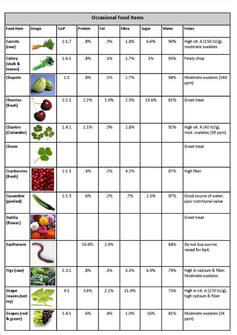 Bearded Dragon Food Chart | Bearded dragon diet, Bearded dragon ...