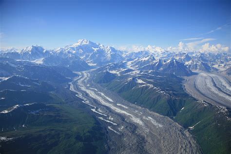 Denali's summer wear | Denali national park, Scenic, National parks