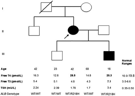 Family pedigree showing genotype of individuals (Open symbols: Wild... | Download Scientific Diagram