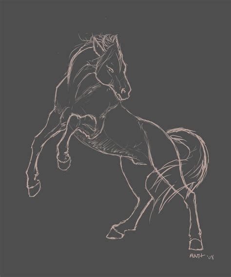 Rearing Horse Sketch by LadyScourgE on DeviantArt