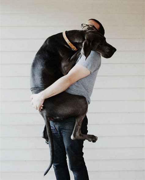 Animal Hugs – sometimes it is better than the humane ones