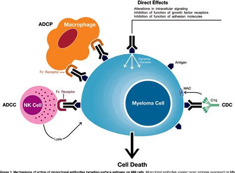 Figure 1 from Clinical efficacy and management of monoclonal antibodies ...