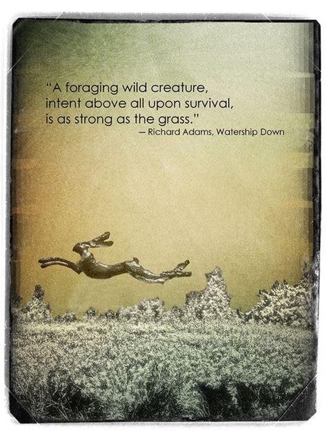 Watership Down Quotes With Page Numbers - ShortQuotes.cc