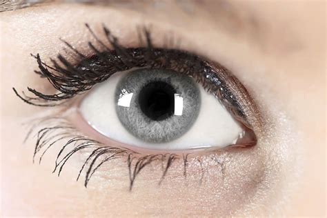 Facts about gray eyes - Colorblindnesstest.org