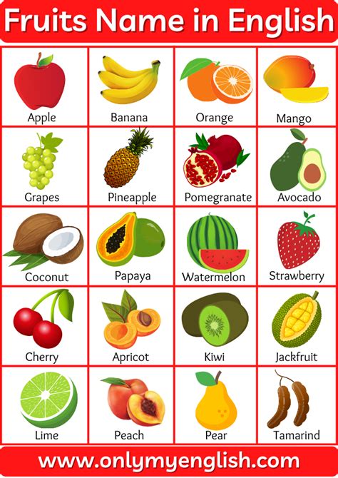 50 Fruits Name in English with Pictures